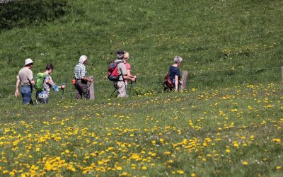 Kulinarische Wanderung 2025